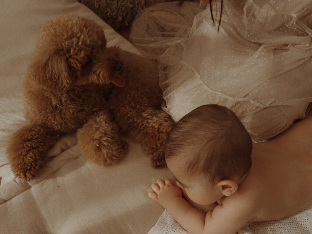 Imagenes De Familia