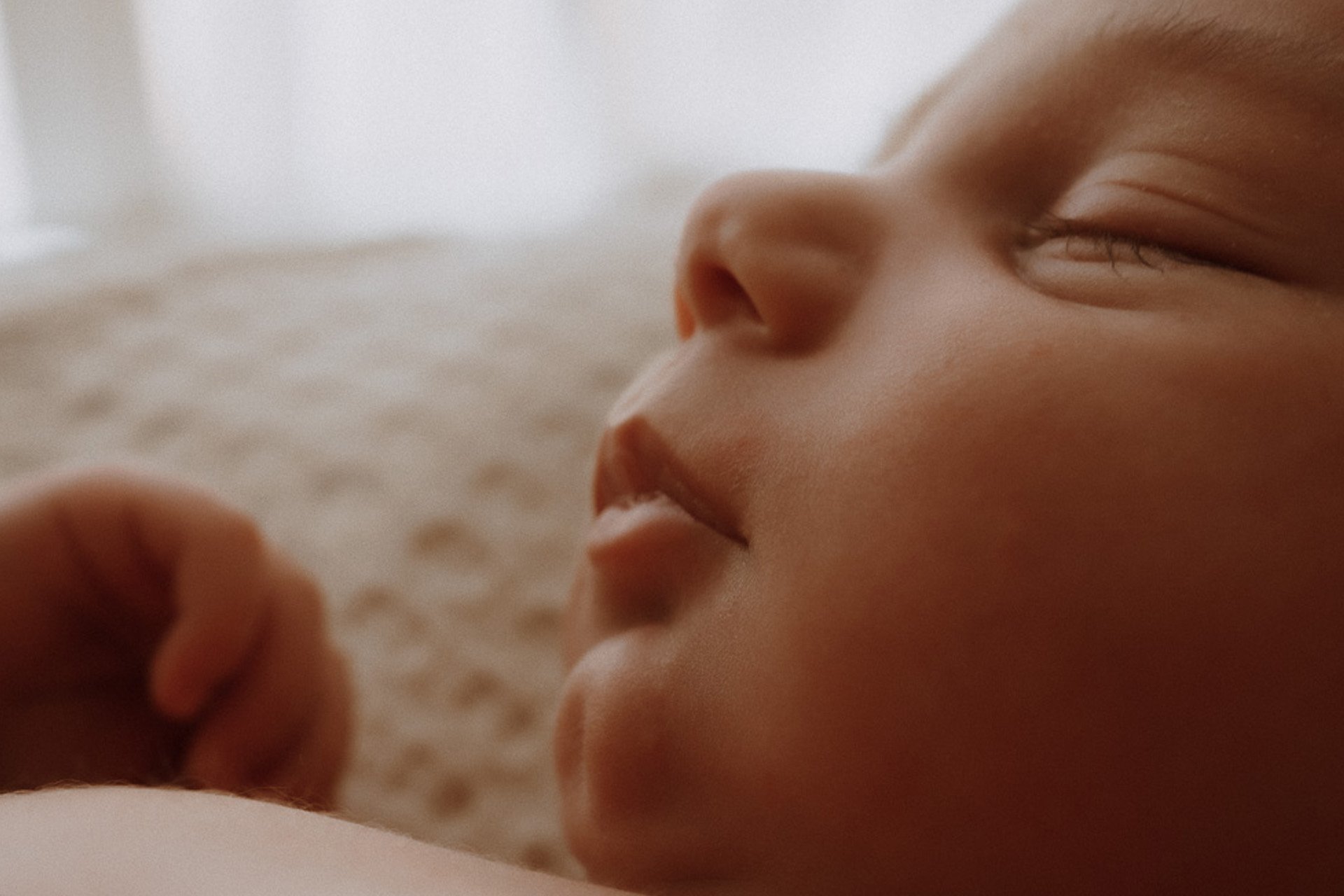 Los Cinco Elementos Esenciales Que Debes Llevar Contigo Para La Sesion De Fotos De Tu Bebe