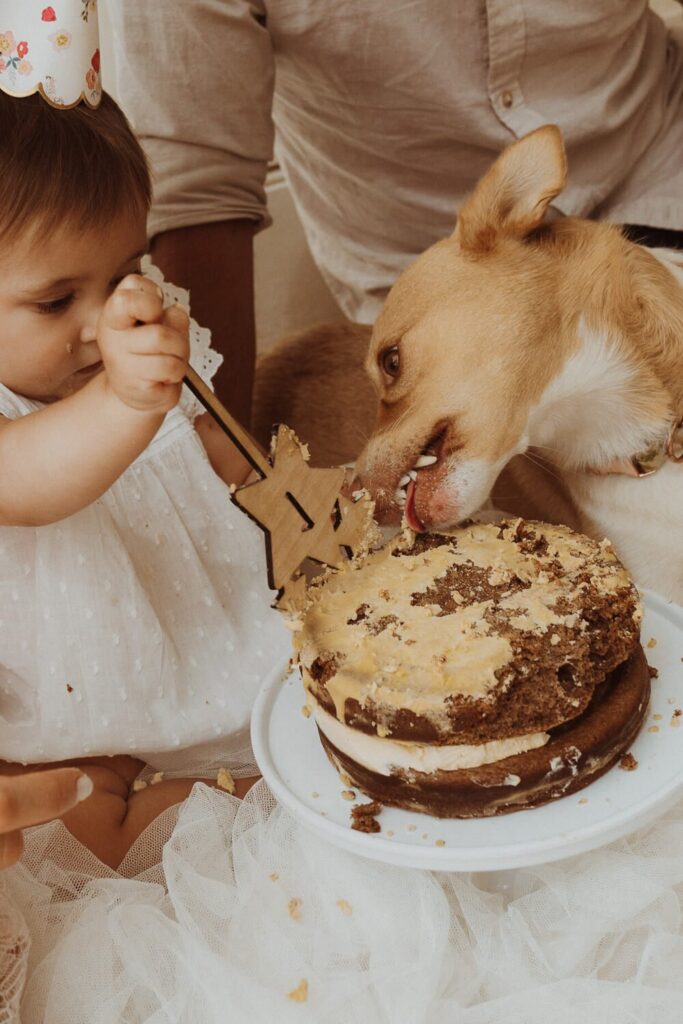 Toddler and dog enjoying a first birthday cake.
