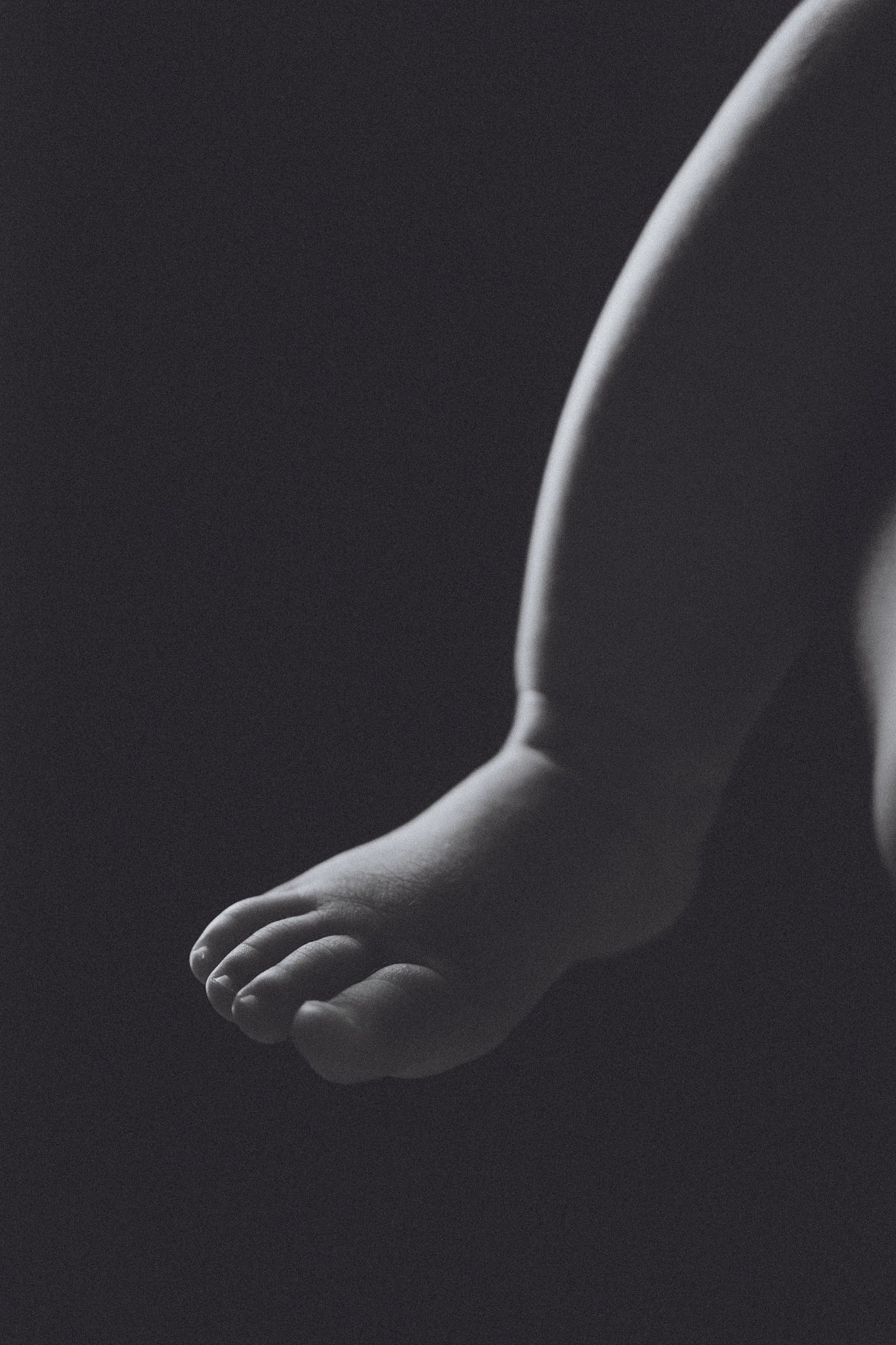 artistic detail baby foot dramatic black white family studio photo