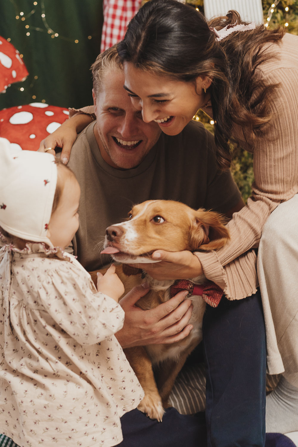 family dog christmas photo shoot types studio festive