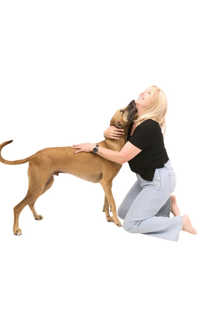 dog and pet photography in Barcelona YOULO self-photo studio