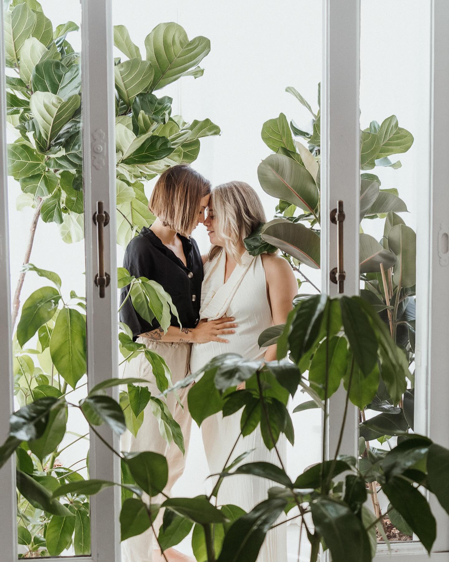 Pareja abrazada junto a una ventana rodeada de plantas, ambiente calido