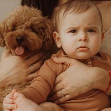 Guia Para Fotos De Bebes Originales Y Creativas